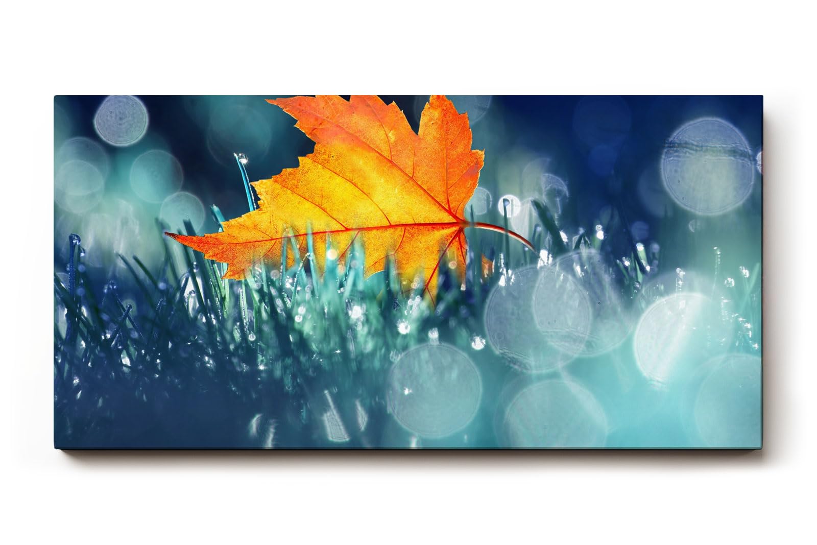 Sinus Art Wandbild 120x80cm Einzelnes orangefarbenes Ahornblatt im feuchten Gras mit Tautropfen und Lichtpunkten