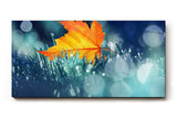 Sinus Art Wandbild 120x80cm Einzelnes orangefarbenes Ahornblatt im feuchten Gras mit Tautropfen und Lichtpunkten