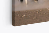 Paul Sinus Wandbild 120x80cm Spießbock Antilope Afrika Wildnis Hörner Tierfotografie
