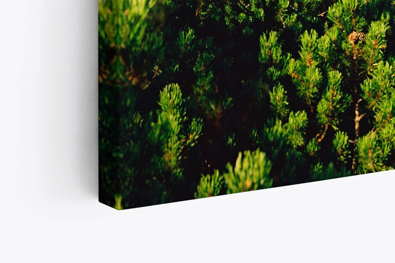 Paul Sinus Wandbild 120x80cm Grüne Berglandschaft Berge Hügel Natur Wald