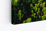Paul Sinus Wandbild 120x80cm Grüne Berglandschaft Berge Hügel Natur Wald