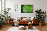 Sinus Art Wandbild 120x80cm Frisches grünes Blatt mit Wassertropfen – Symbol für Reinheit und Natur