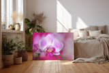 Sinus Art Wandbild 120x80cm Die Tropfen auf den Blütenblättern verleihen dem Motiv eine frische und natürliche Eleganz