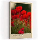 Paul Sinus Kunstdruck 40x60cm Mohnblumen Feld Natur Blüte Wildblumen Rot Wild Bloom