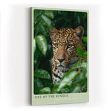 Paul Sinus Wandbild in 40x60cm Eye of the Jungle – Nahaufnahme eines Leoparden im dichten Blätterdach