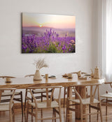 Paul Sinus Wandbild 120x80cm Lavendel Blumen Blüten Violett Sonnenuntergang Blumenwiese