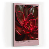 Paul Sinus Kunstdruck 40x60cm Red Succulent Makro Pflanze Dunkelrot Natur Sukkulente Struktur