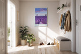 Paul Sinus Kunstdruck 40x60cm Valensole Plateau Lavendelfelder Provence Reihen Himmel Sommerfarben