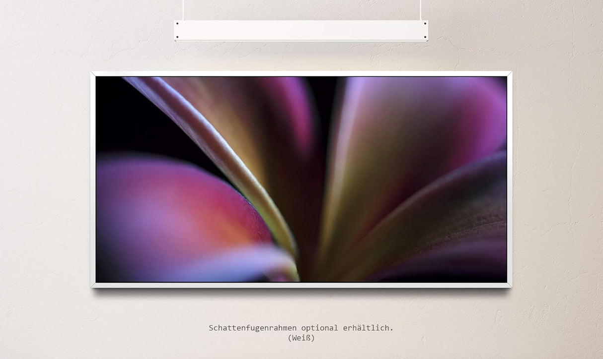 Pflanzen und Blumen ca. 130x70cm Wandbild inklusive Schattenfugenrahmen weiss - Panorama Leinwand Bild XXL Format Wandbilder Wohnzimmer Wohnung Deko Kunstdrucke