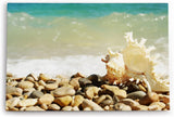 Paul Sinus Wandbild 120x80cm Muschel Strand runde Steine Meer Sommer Sonne