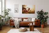 Sinus Art Wandbild 120x80cm Rotes Fahrrad im goldenen Gegenlicht einer Sommerwiese mit romantischem Flair