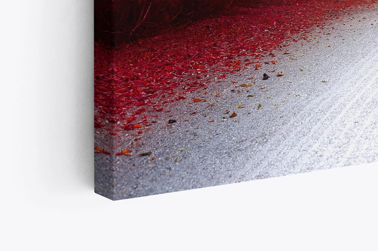 Paul Sinus Wandbild 120x80cm Baumallee Allee Bäume Herzform Rot Kunstvoll Straße