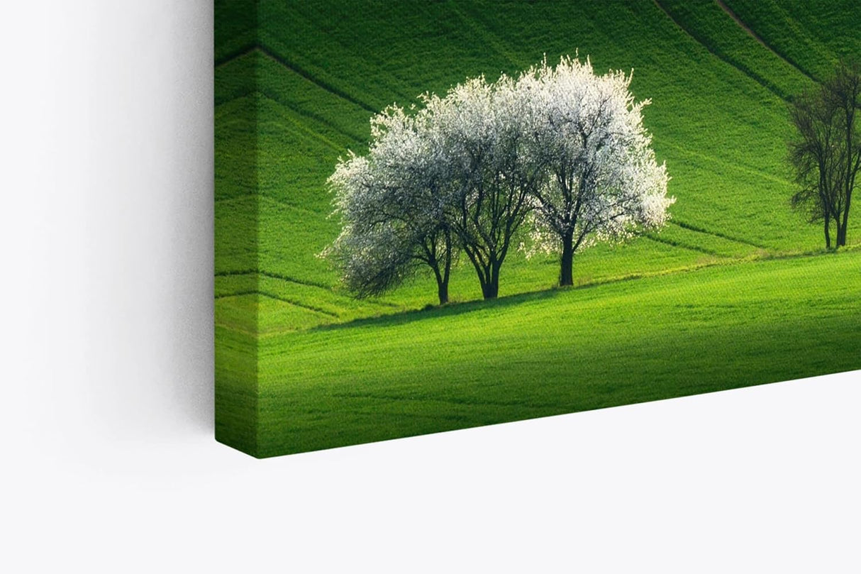 Wandbild 120x80cm Grüne Landschaft Baum Wiese Gras Hügel Baumblüte