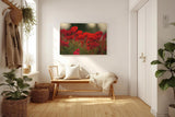 Sinus Art Wandbild 120x80cm Leuchtend rote Mohnblumen im weichen Licht – symbolstark, lebendig und zeitlos