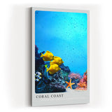 Paul Sinus Kunstdruck 40x60cm Coral Coast bunte Unterwasserwelt mit gelben Fischen und Korallenriff