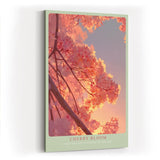 Paul Sinus Wandbild in 40x60cm Cherry Bloom – zarte Kirschblüten im sanften Abendlicht in romantischer Farbgebung