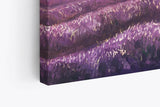 Paul Sinus Wandbild 120x80cm Lavendel Blumen Violett Lavendelfeld Abstrakt Kunstvoll