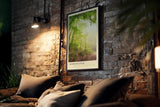 Paul Sinus Kunstdruck 40x60cm Wald Morgenstimmung Natur Pfad Licht grün Spaziergang Morning Path