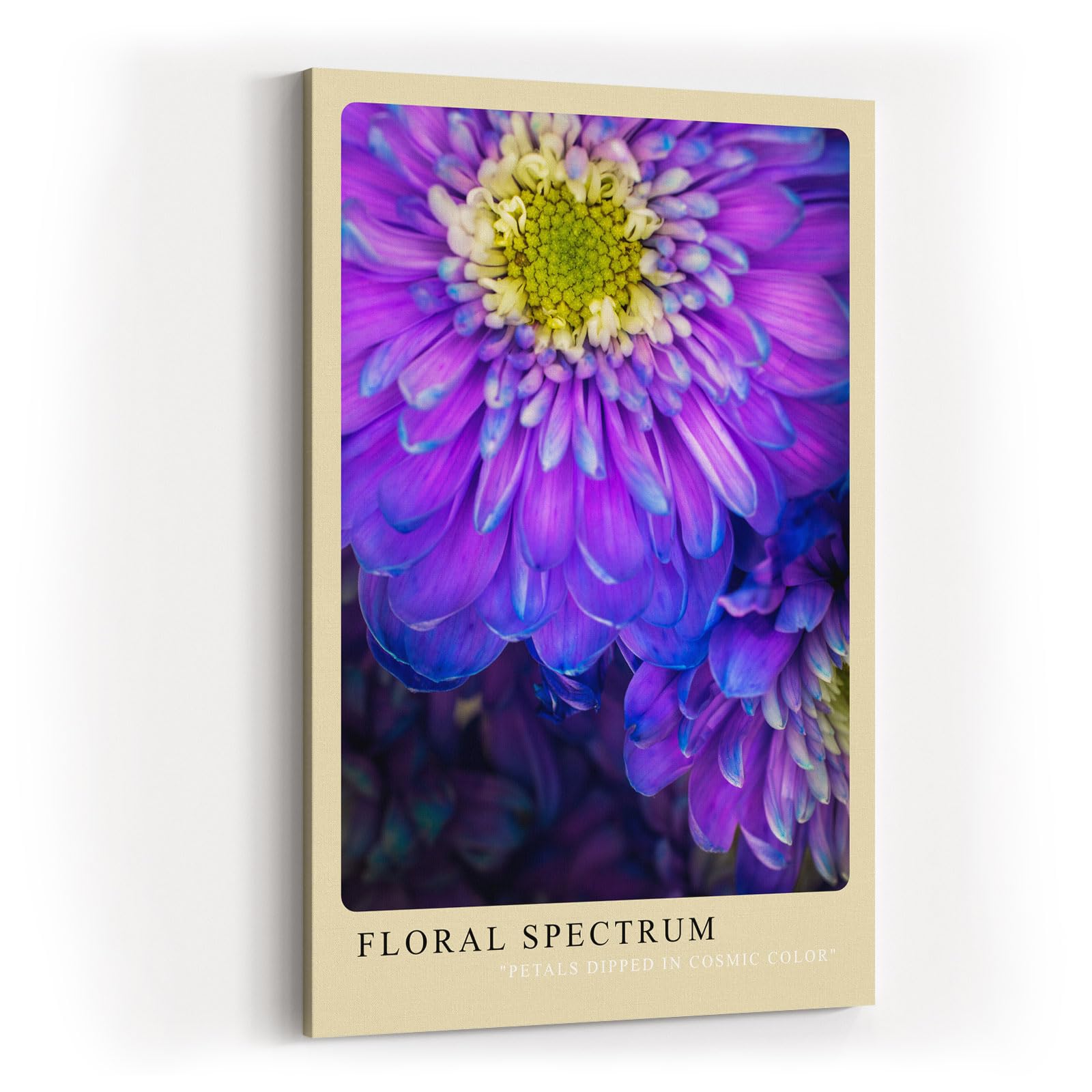 Paul Sinus Kunstdruck 40x60cm Floral Spectrum Violette Blumen in kräftigem Farbspiel Petals Dipped in Cosmic Color