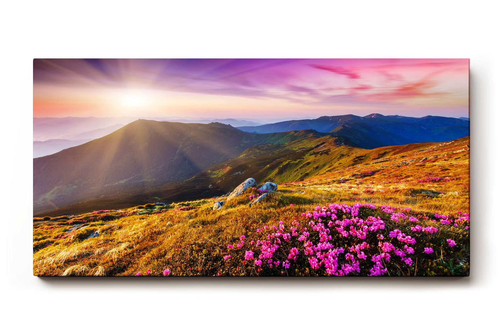 Sinus Art Wandbild 120x80cm Stimmungsvolles Landschaftsmotiv mit leuchtendem Himmel und blühender Wiese