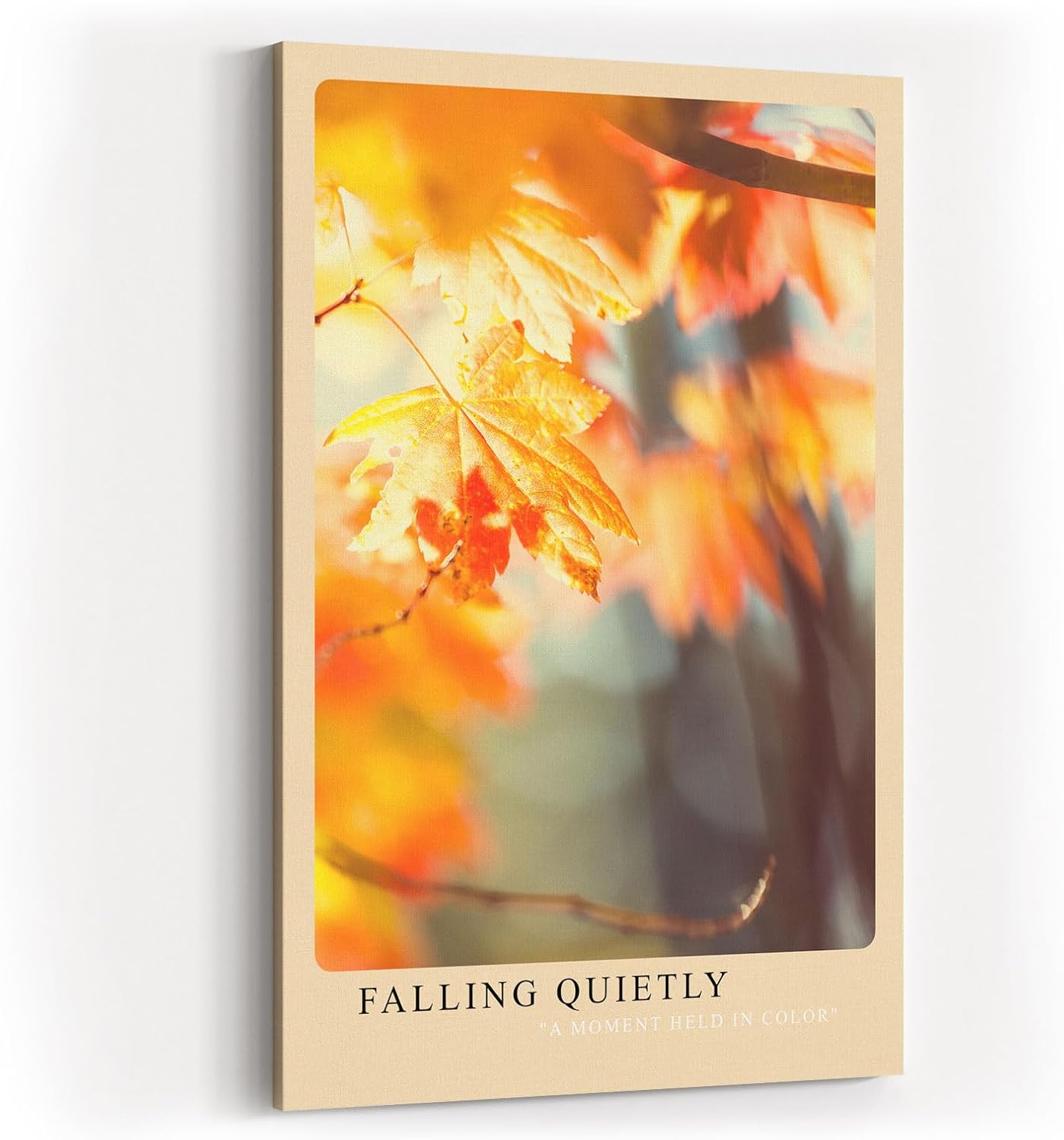 Paul Sinus Kunstdruck 40x60cm Falling Quietly Herbstlaub Ahornblätter Naturfarben Bokeh Lichtspiel