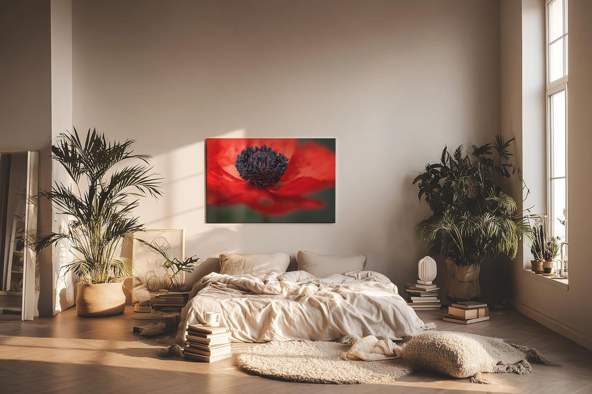 Sinus Art Wandbild 120x80cm Starke Nahaufnahme einer offenen roten Mohnblüte mit Fokus auf das tiefschwarze Zentrum