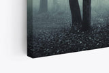 Paul Sinus Wandbild 120x80cm Wald Bäume Dunkel Schwarz Nebel Herbst Mystisch