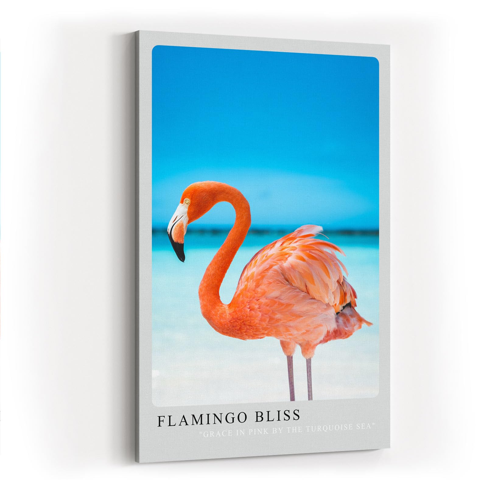Paul Sinus Kunstdruck 40x60cm Flamingo Bliss mit rosa Flamingo am türkisfarbenen Meer