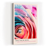 Paul Sinus Kunstdruck 40x60cm Spektralrose in Nahaufnahme – Farbenwunder der Natur in kunstvoller Struktur
