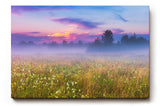 Sinus Art Wandbild 120x80cm Morgennebel über farbiger Wildblumenwiese – ideal für naturverbundene Raumgestaltung