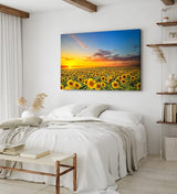 Paul Sinus Wandbild 120x80cm Sonnenblumen Blumenfeld Sonnenblumenfeld Sonnenuntergang