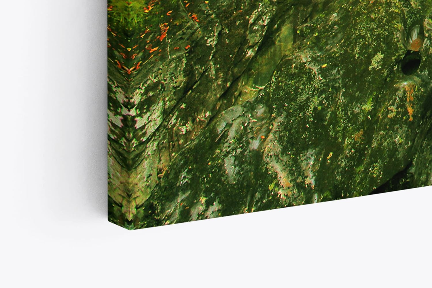Paul Sinus Wandbild 120x80cm Bach Naturbach Dschungel Grün Bäume Wasser