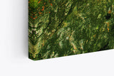 Paul Sinus Wandbild 120x80cm Bach Naturbach Dschungel Grün Bäume Wasser