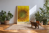 Paul Sinus Kunstdruck 40x60cm Fibonacci in Bloom Sonnenblume Makro Gelb Natur Geometrie Bruchstruktur