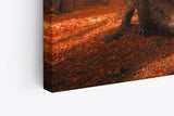 Paul Sinus Wandbild 120x80cm Große Eiche Baum Herbst Herbstblätter Sonnenstrahl Wald