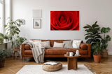 Sinus Art Wandbild 120x80cm Die samtige Struktur der roten Blütenblätter verleiht Tiefe und sinnliche Wirkung