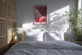 Paul Sinus Kunstdruck 40x60cm Floral Curve mit Makroaufnahme einer rosa Blüte in sanfter Kurve