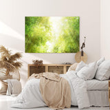 Paul Sinus Wandbild 120x80cm Bambus Bambuswald Japan Grün Bäume Sonnenschein