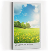 Paul Sinus Kunstdruck 40x60cm Meadow in Bloom Blumenwiese Frühling Natur Himmel Sonnenlicht
