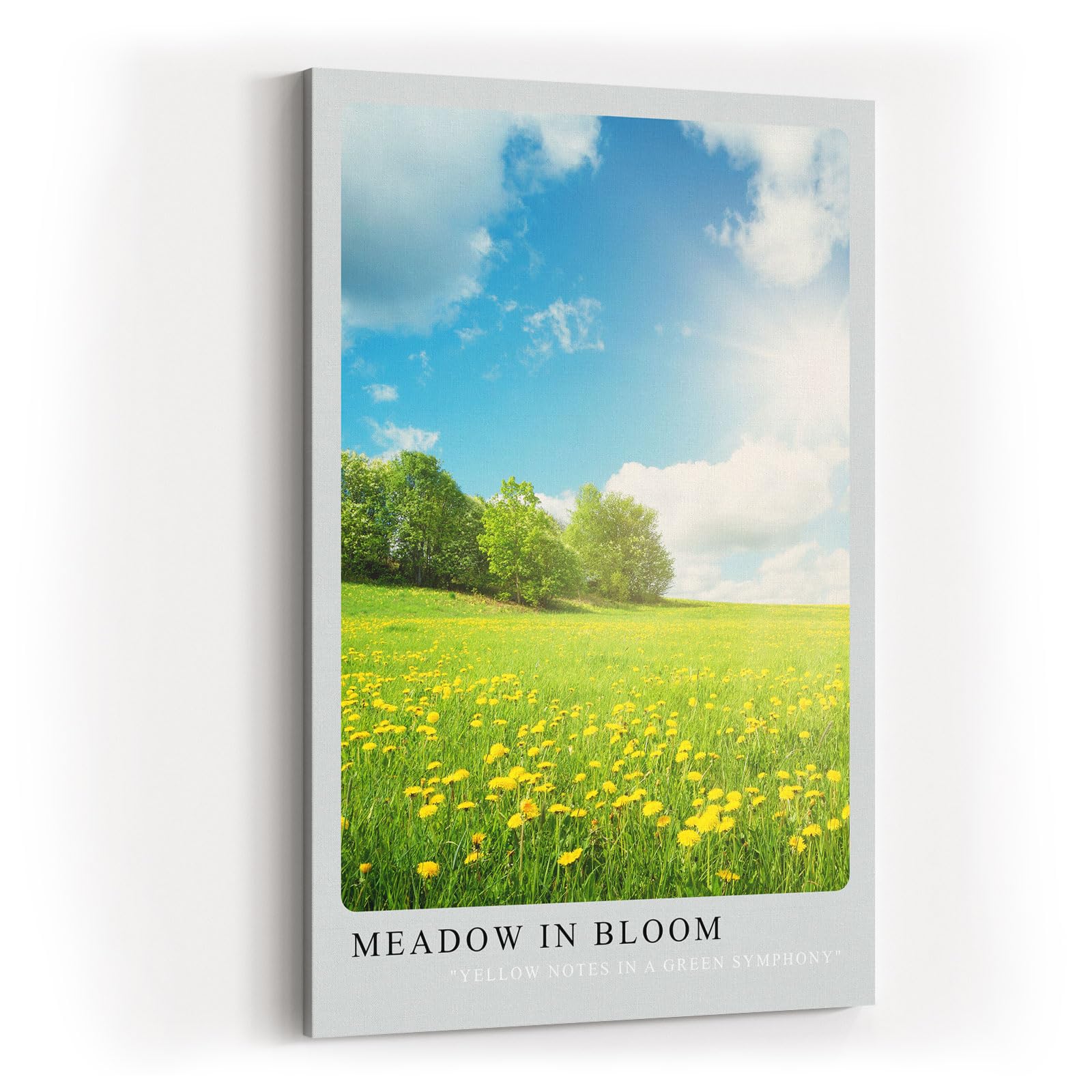 Paul Sinus Kunstdruck 40x60cm Meadow in Bloom Blumenwiese Frühling Natur Himmel Sonnenlicht