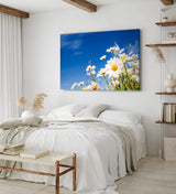 Paul Sinus Wandbild 120x80cm Gänseblümchen Blumen blauer Himmel Sonnenschein Sommer