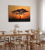 Paul Sinus Wandbild 120x80cm Afrikanische Landschaft Burkea Africana Bäume Sonnenuntergang