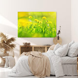 Paul Sinus Wandbild 120x80cm Grüne Wiese Blumen Löwenzahn Wildblumen Sommer