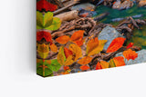 Paul Sinus Wandbild 120x80cm Wasserfall im Dschungel Natur Bach Tropisch