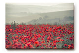 Sinus Art Wandbild 120x80cm Friedliche Blumenlandschaft mit Weitblick und natürlicher Farbintensität