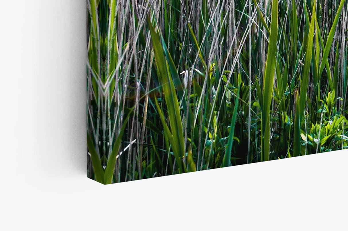 Paul Sinus Wandbild 120x80cm Sommer Sonnenaufgang Holzweg Natur Gras Strandweg