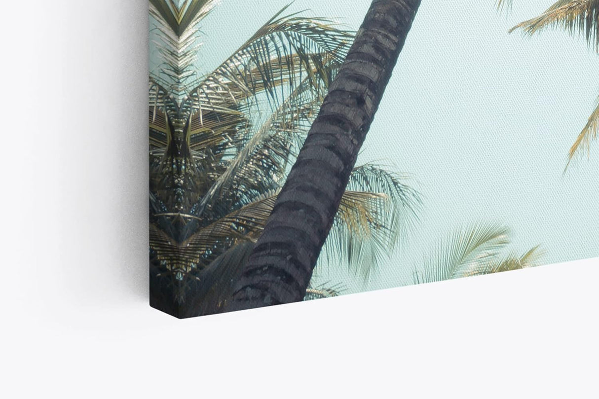Wandbild 120x80cm Palmen Palmblätter Sommer Sonnenschein Süden