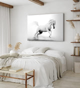 Paul Sinus Wandbild 120x80cm Weißes Pferd Wildpferd Schwarz Weiß Fotokunst