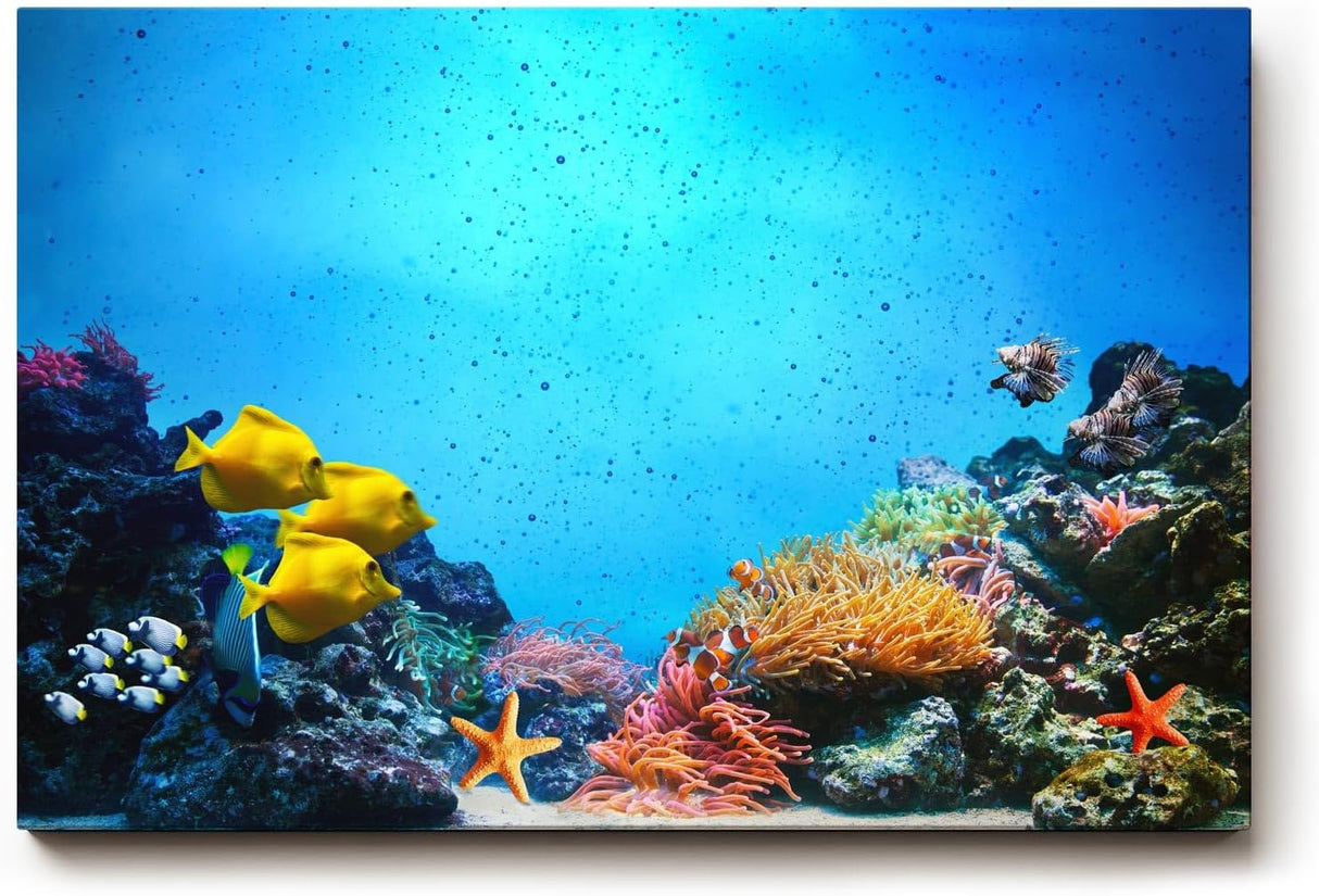 Sinus Art Wandbild 120x80cm Bunte Meeresbewohner und Korallen in einer lebendigen Unterwasserwelt