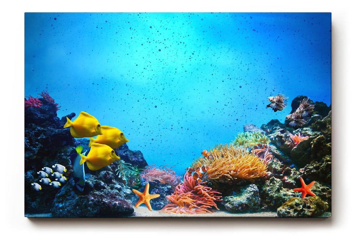 Sinus Art Wandbild 120x80cm Bunte Meeresbewohner und Korallen in einer lebendigen Unterwasserwelt